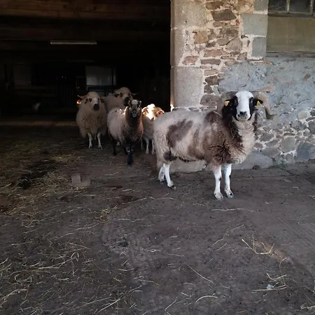 Lamalpapoche Tatil Evi Quézac