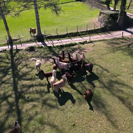 Tatil Evi Lamalpapoche