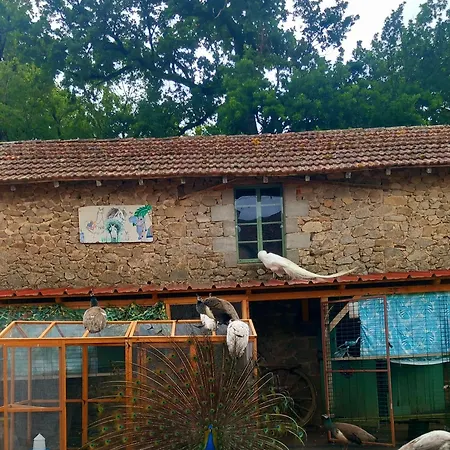 Lamalpapoche Tatil Evi